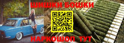 стаф Лесосибирск