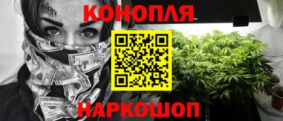 стаф Лесосибирск