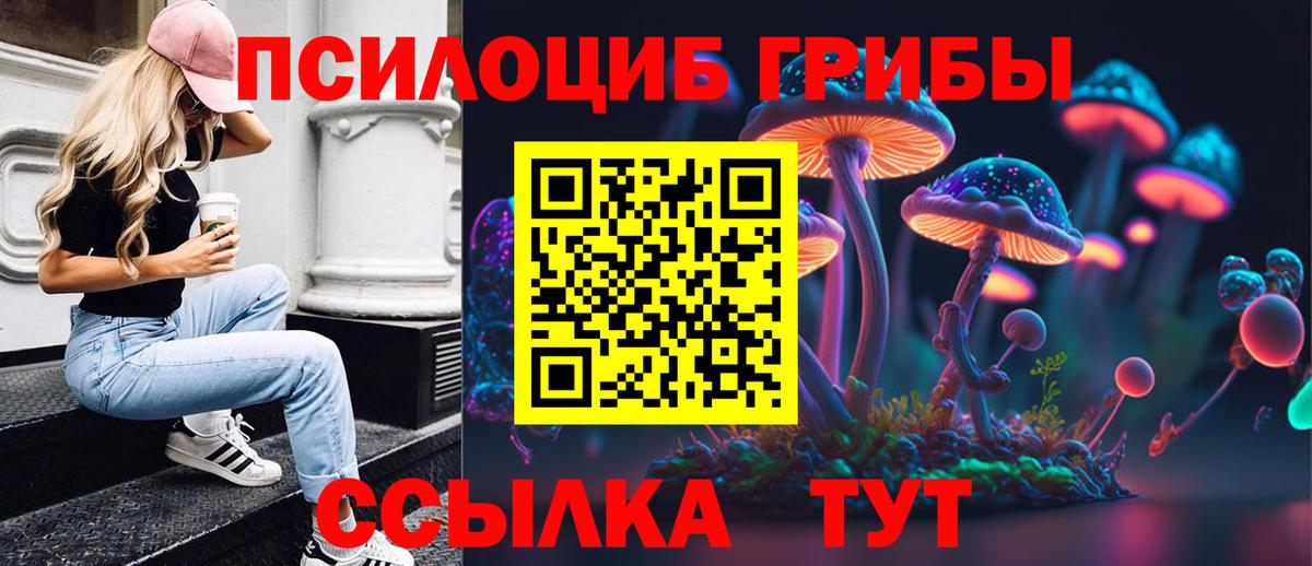 Псилоцибиновые грибы MAGIC MUSHROOMS  Вход с VPN  Улан-Удэ  Галлюциногенные грибы мицелий 